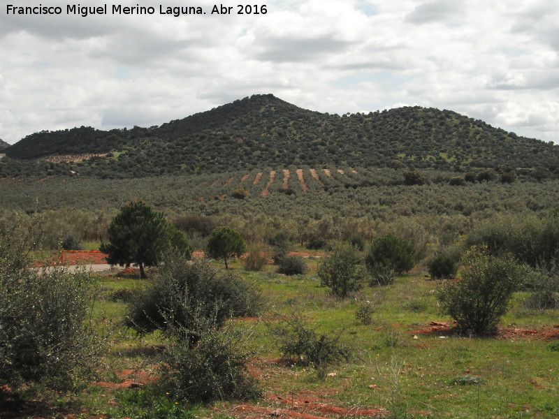 Cerro Merln - Cerro Merln. 