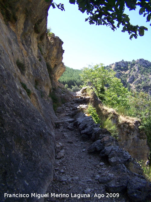 Sendero de Huelga Utrera a Poyotello - Sendero de Huelga Utrera a Poyotello. 