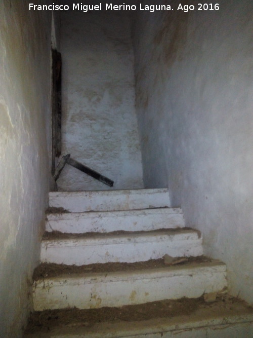 Cortijo del Cerrillo de la Divina - Cortijo del Cerrillo de la Divina. Escaleras