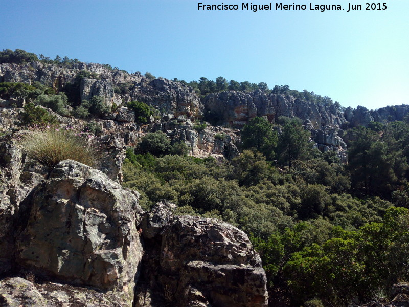 Cueva de los Arcos - Cueva de los Arcos. 