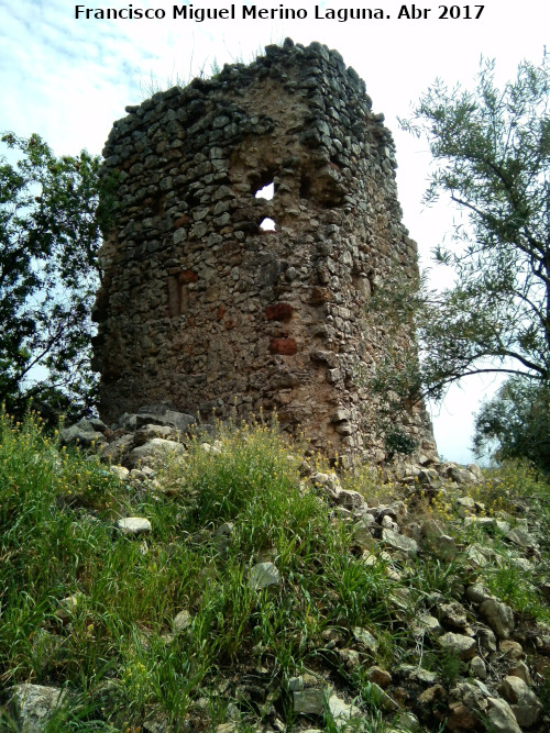 Castillo del Poyato - Castillo del Poyato. 