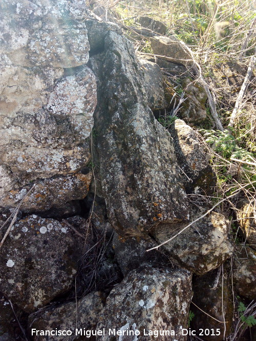 Cortijo de la Macarena - Cortijo de la Macarena. 