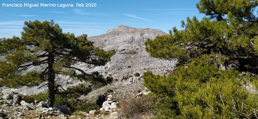 Aguil�n del Loco - Aguil�n del Loco. Desde la Loma de Cagasebo