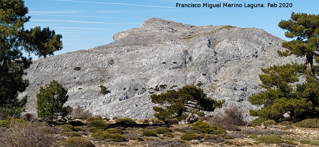 Aguil�n del Loco - Aguil�n del Loco. Desde la Loma de Cagasebo