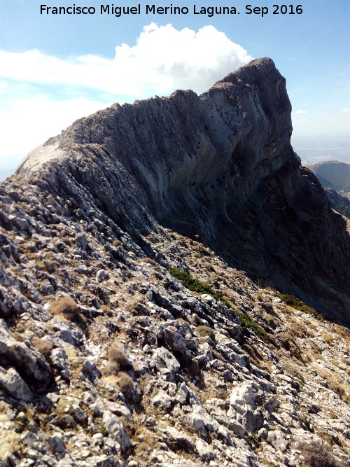 Pen del Guante - Pen del Guante. 