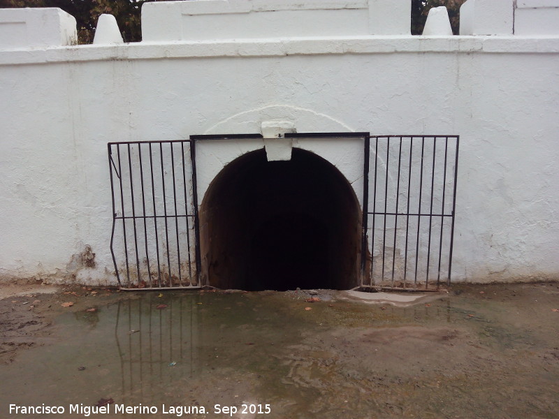 Fuente de los Grifos - Fuente de los Grifos. Desage por debajo de la carretera