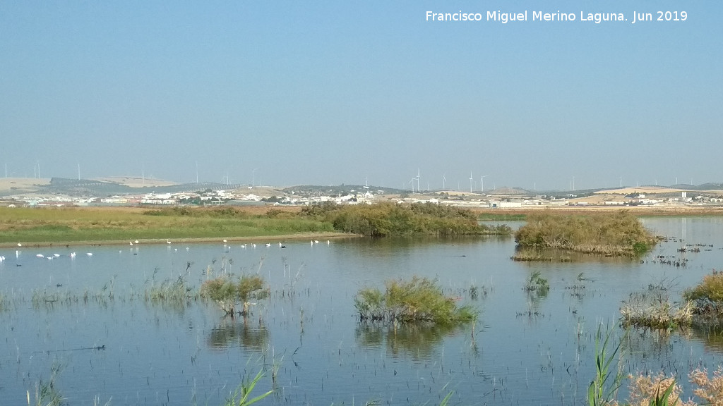 Campillos - Campillos. Desde la Laguna Dulce