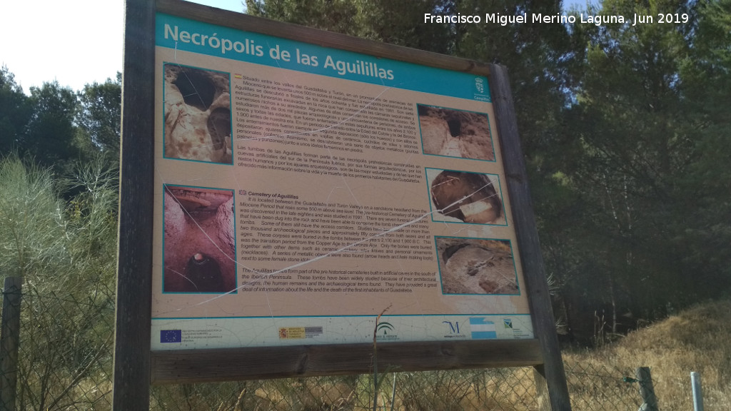 Necrpolis de las Aguilillas - Necrpolis de las Aguilillas. Cartel