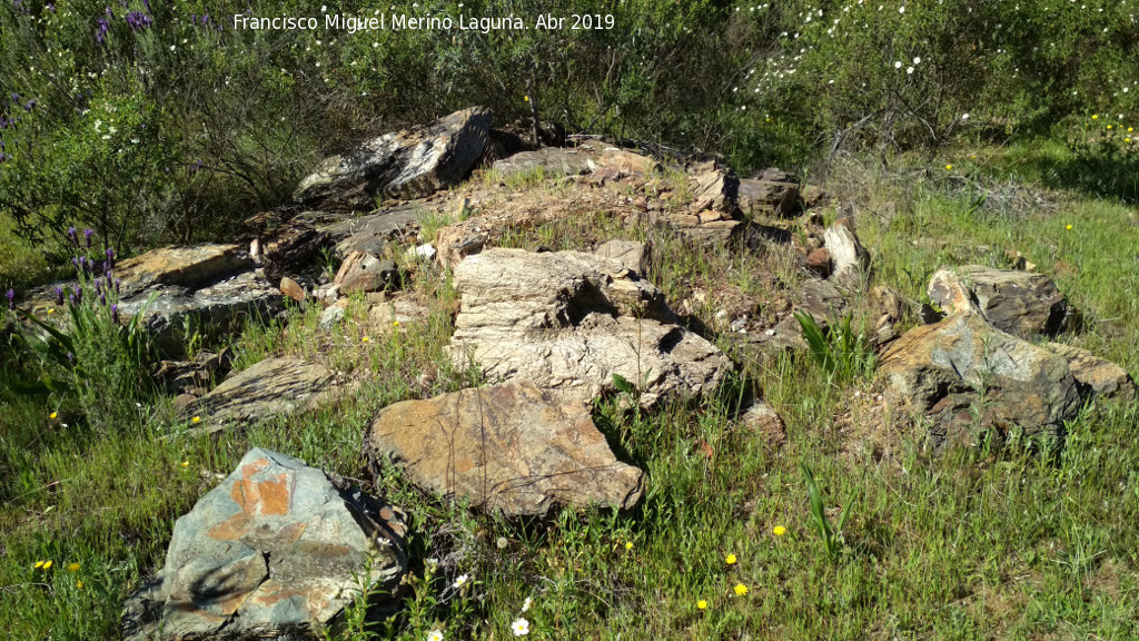 Dlmenes de los Gabrieles - Dlmenes de los Gabrieles. Posible dolmen