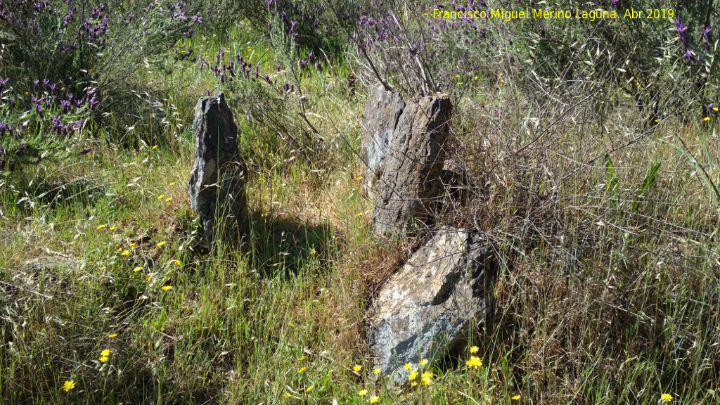 Dlmenes de los Gabrieles - Dlmenes de los Gabrieles. Dolmen de los Nios