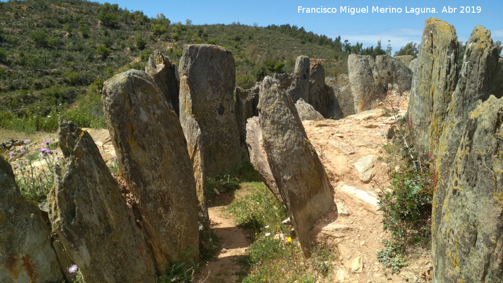 Dolmen del Pozuelo I - Dolmen del Pozuelo I. 