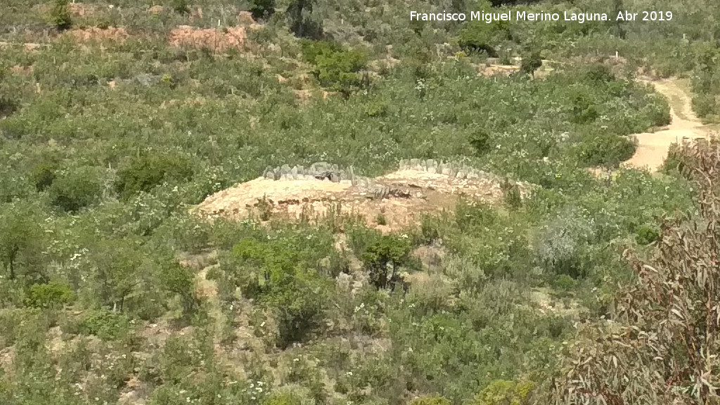 Dolmen del Pozuelo III - Dolmen del Pozuelo III. Dlmenes 3 y 4