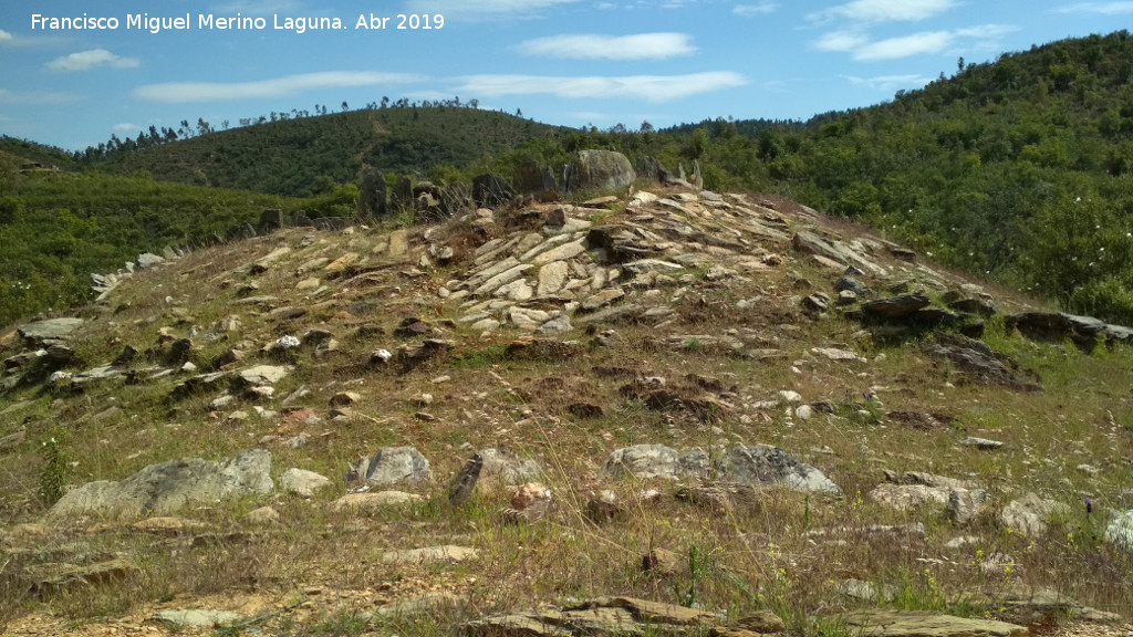 Dolmen del Pozuelo III - Dolmen del Pozuelo III. 