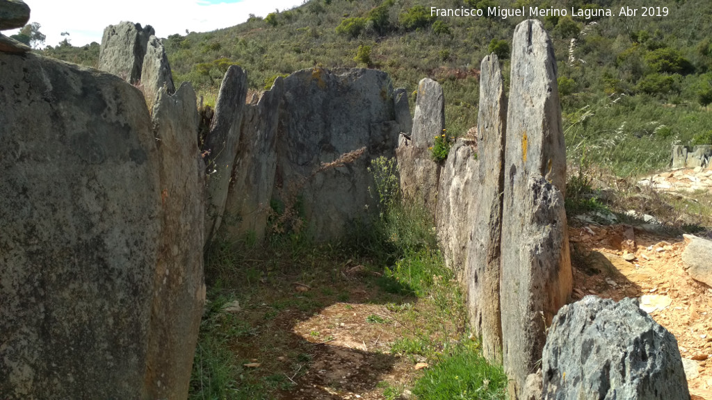 Dolmen del Pozuelo III - Dolmen del Pozuelo III. 