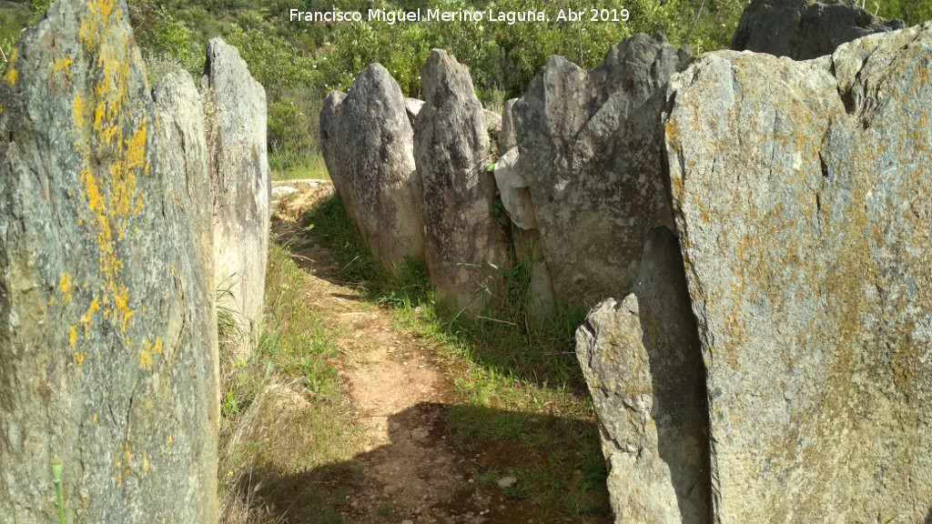 Dolmen del Pozuelo IV - Dolmen del Pozuelo IV. Corredor