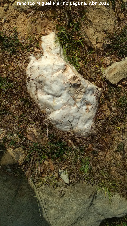 Dolmen del Pozuelo IV - Dolmen del Pozuelo IV. Piedra blanca del anillo perimetral