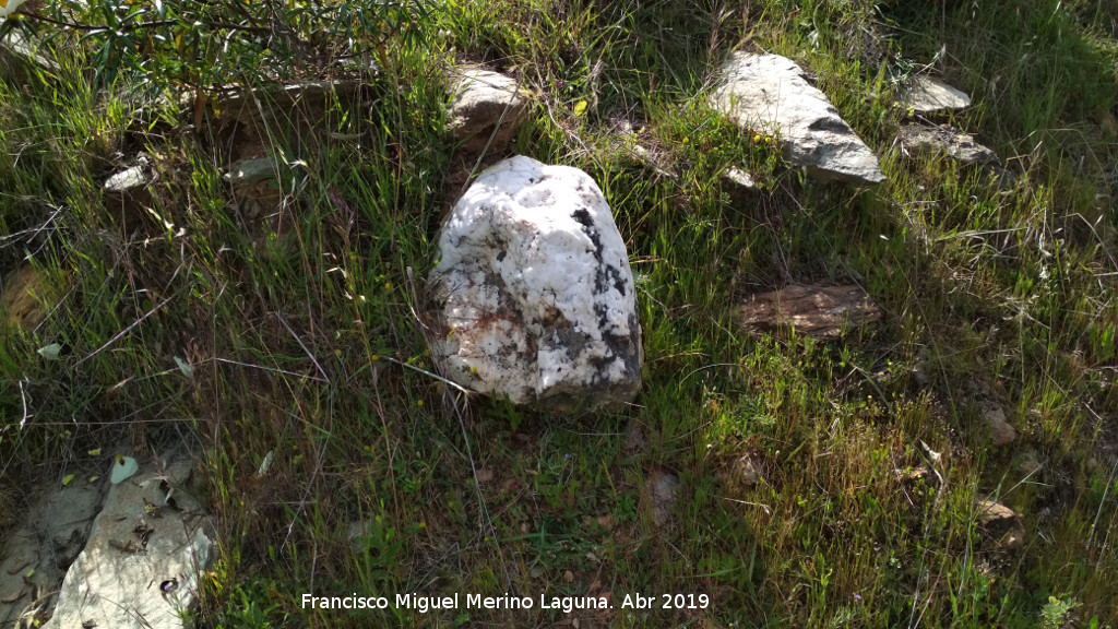 Dolmen del Pozuelo IV - Dolmen del Pozuelo IV. Piedra blanca