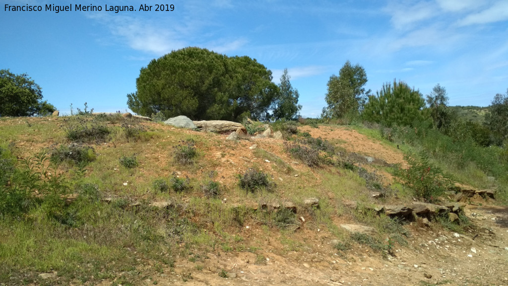 Dolmen del Pozuelo V - Dolmen del Pozuelo V. 