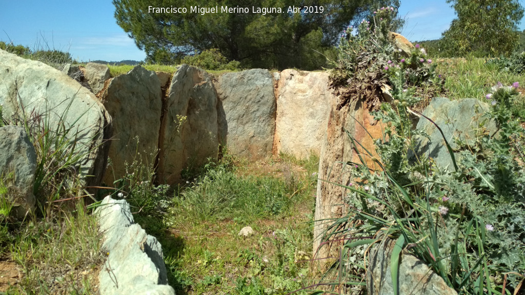 Dolmen del Pozuelo V - Dolmen del Pozuelo V. 