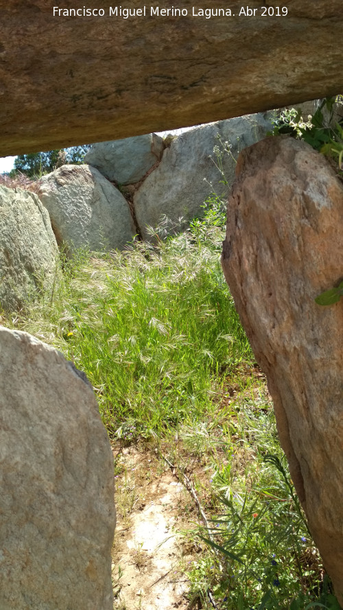 Dolmen del Pozuelo V - Dolmen del Pozuelo V. 