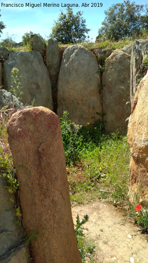 Dolmen del Pozuelo V - Dolmen del Pozuelo V. 