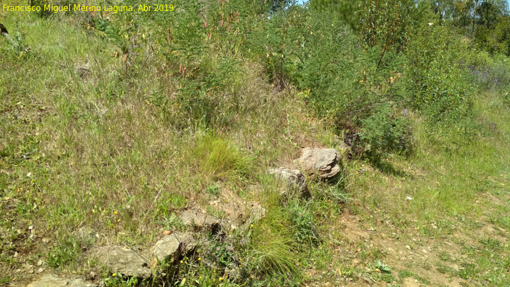 Dolmen del Pozuelo V - Dolmen del Pozuelo V. Anillo perimetral