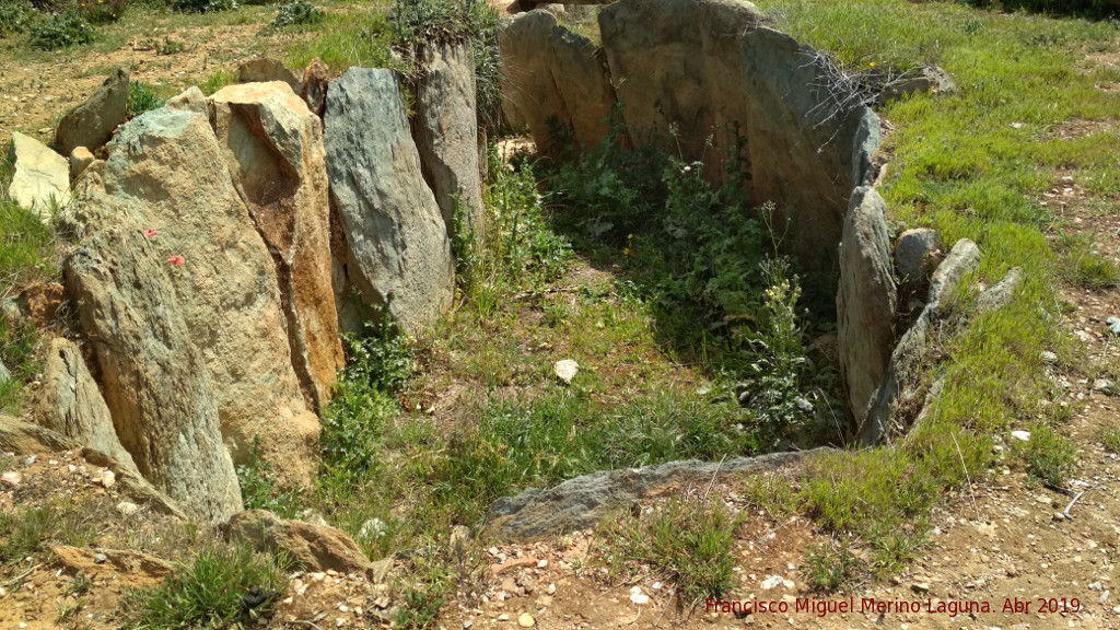 Dolmen del Pozuelo V - Dolmen del Pozuelo V. 