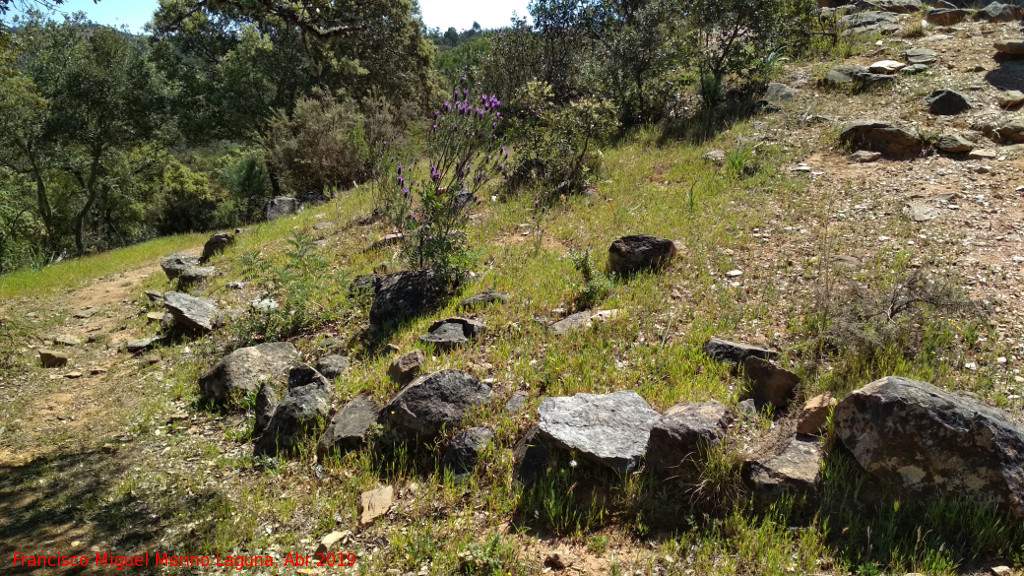 Dolmen del Pozuelo VII - Dolmen del Pozuelo VII. Anillo perimetral