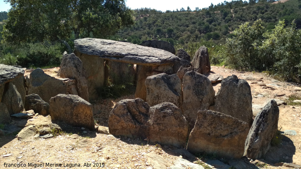 Dolmen del Pozuelo VII - Dolmen del Pozuelo VII. 