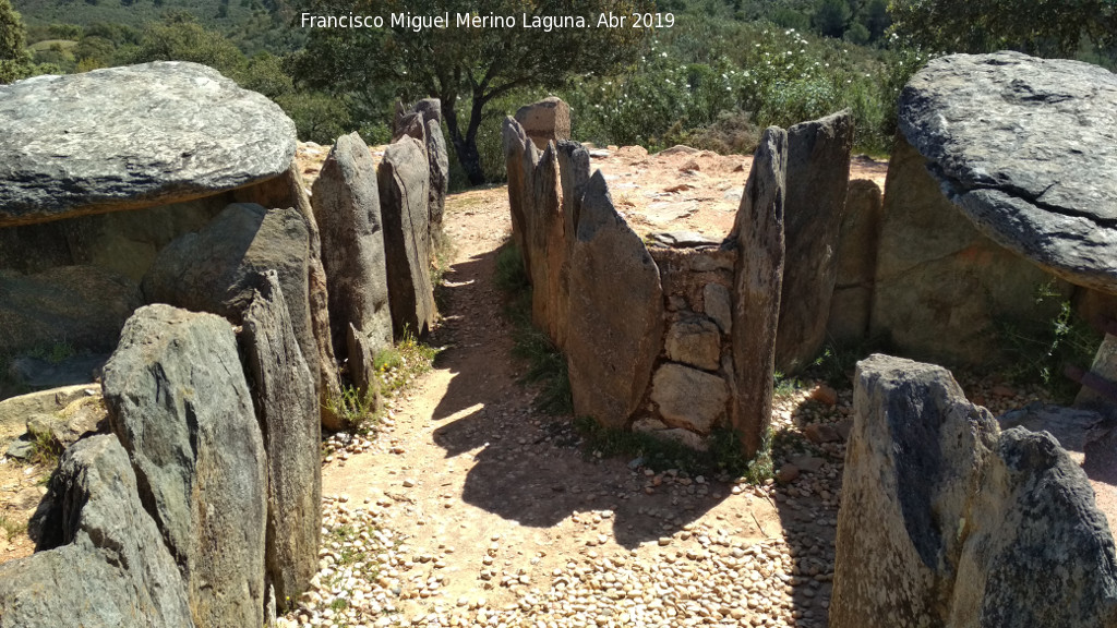 Dolmen del Pozuelo VII - Dolmen del Pozuelo VII. 