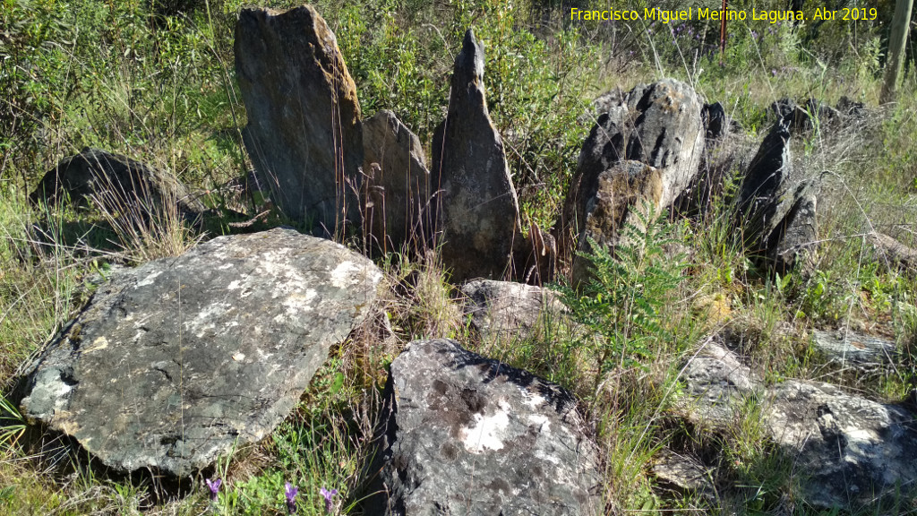 Dolmen del Pozuelo VIII - Dolmen del Pozuelo VIII. 