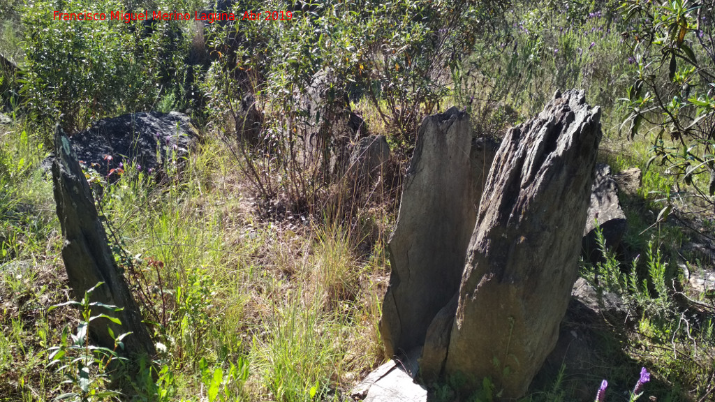 Dolmen del Pozuelo VIII - Dolmen del Pozuelo VIII. 