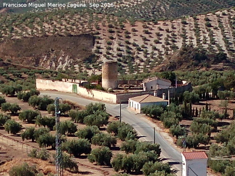 Cortijo de la Torre - Cortijo de la Torre. 