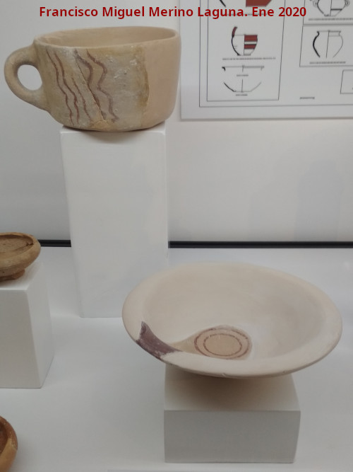 Cer�mica Ibera - Cer�mica Ibera. Taza y plato. Palacio del Cerro de la Merced - Cabra. Exposici�n en el Museo Ibero de Ja�n