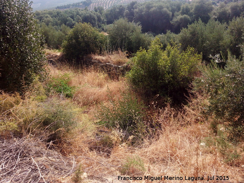 Alberca de los Martos - Alberca de los Martos. 