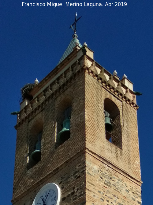 Iglesia de San Martn - Iglesia de San Martn. Campanario