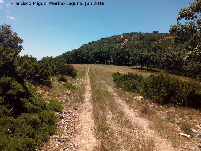 Collado de la Estrella - Collado de la Estrella. 