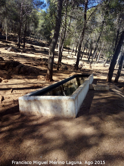 Pilar del Hoyo del Mateo - Pilar del Hoyo del Mateo. 