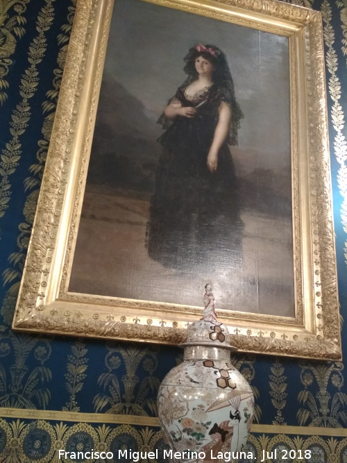 Goya - Goya. Reina Mara Luisa de Parma. Palacio Real de Madrid