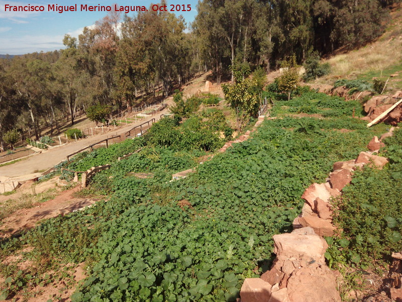 Huertas del Pilarejo - Huertas del Pilarejo. 