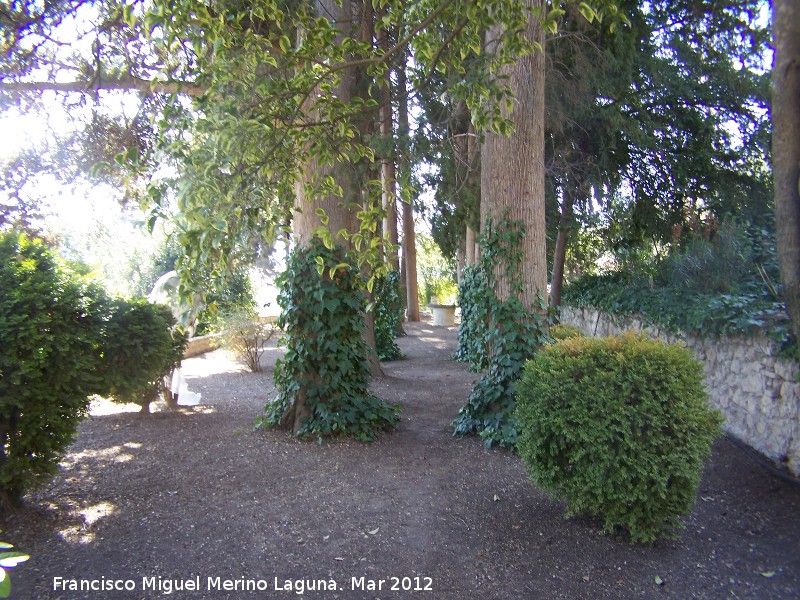 Paseo de los Adoquines - Paseo de los Adoquines. 