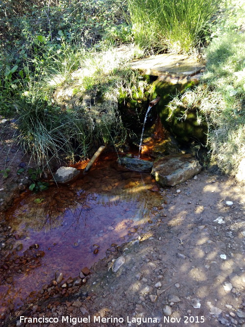 Fuente de los Perros - Fuente de los Perros. 