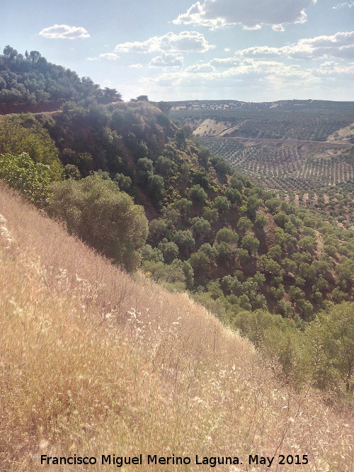 Camino del Albarrobo - Camino del Albarrobo. 