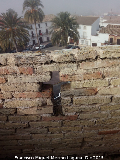 Castillo de Lopera. Torren Oeste - Castillo de Lopera. Torren Oeste. Desde el Matacn