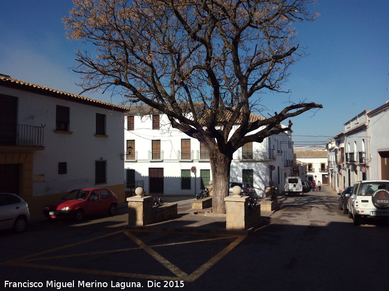 Plaza Bernab Cobo - Plaza Bernab Cobo. 