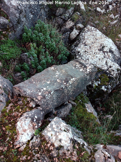 Cantera de la Coronilla - Cantera de la Coronilla. 