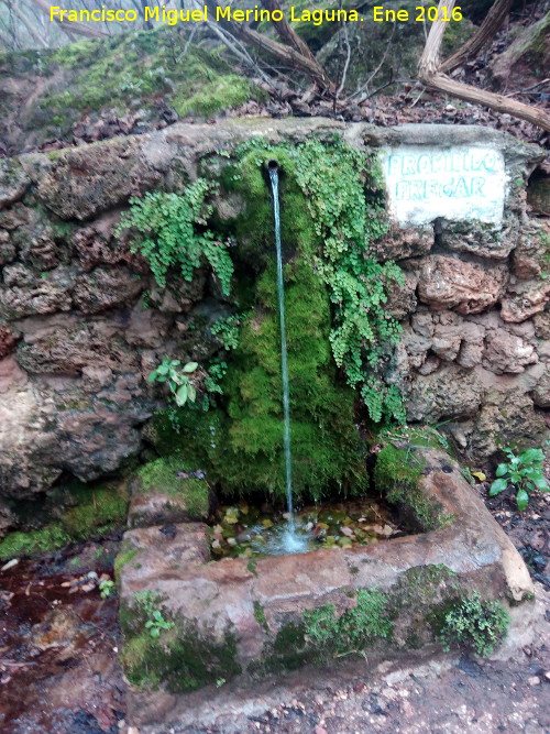 Fuente del Bar del Charco de la Pringue - Fuente del Bar del Charco de la Pringue. 