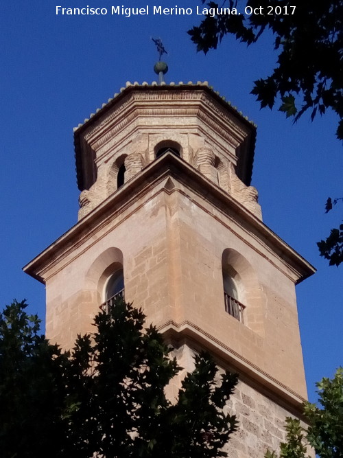 Iglesia de la Concepcin - Iglesia de la Concepcin. Torre de los Pastores