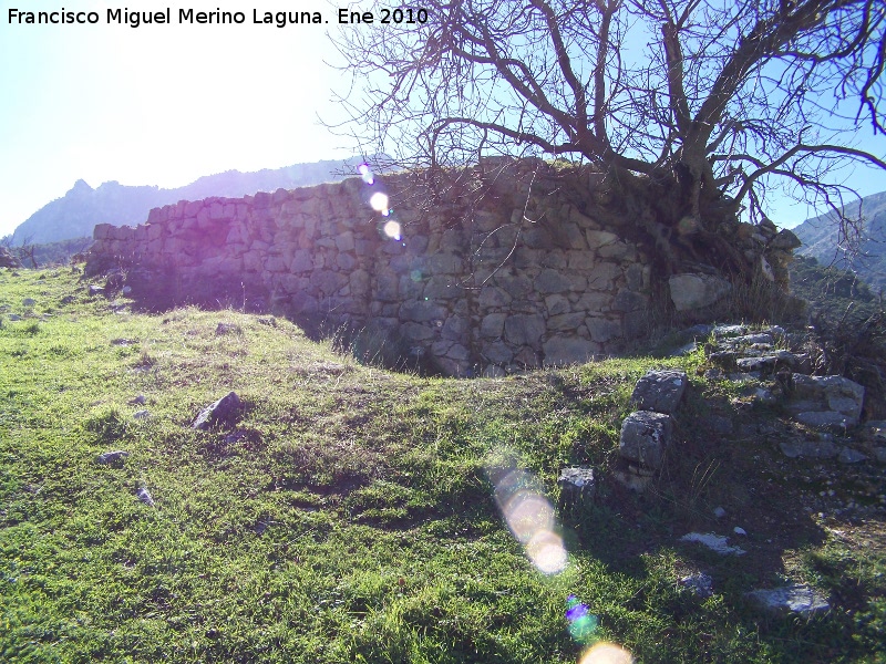 Castillo de Otiar. Muralla Oeste - Castillo de Otiar. Muralla Oeste. 