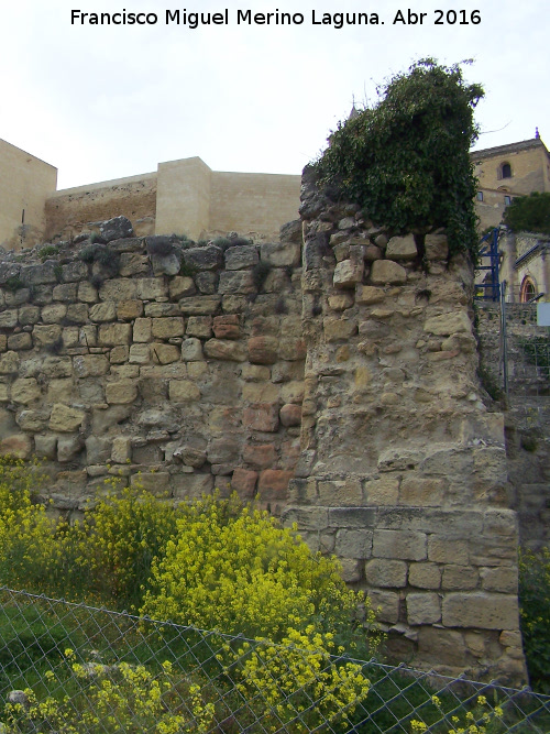 La Mota. Torren de Santo Domingo IV - La Mota. Torren de Santo Domingo IV. 